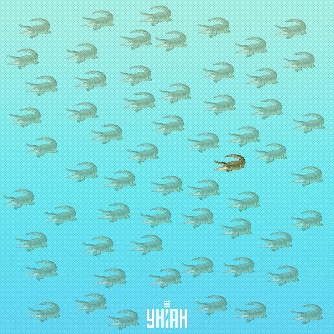 Közelebb kellett volna találni a közepéhez, a jobb oldalon / Moje Collage