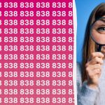 Magas az IQ-ja, ha a 888-as számot gyorsan megtalálja a